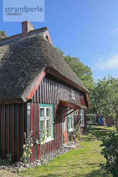 Reetgedecktes Holzhaus in Born