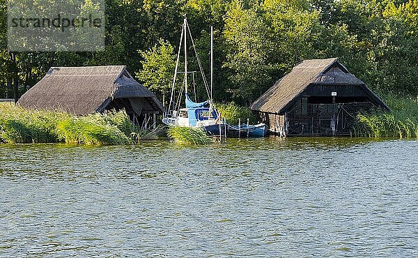 Reetgedeckte Bootshäuser am Prerower Hafen  Prerow  Darß-Zingst  Mecklenburg-Vorpommern  Deutschland  Europa