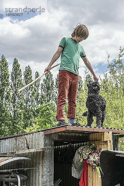 Junge mit Hund steht auf der Schrebergartenhütte
