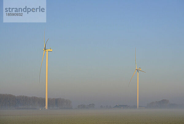 Niederlande  Noord-Brabant  Windkraftanlagen an einem nebligen Morgen