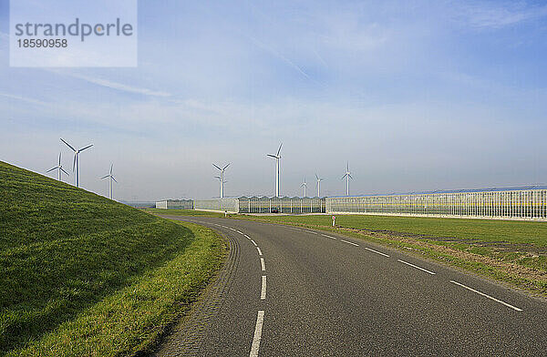 Niederlande  Zeeland  Gewerbliche Gewächshäuser und Windkraftanlagen entlang der Straße