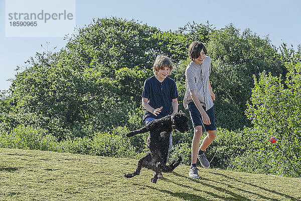 Zwei Jungen (12-13) und ein Hund spielen auf der Wiese