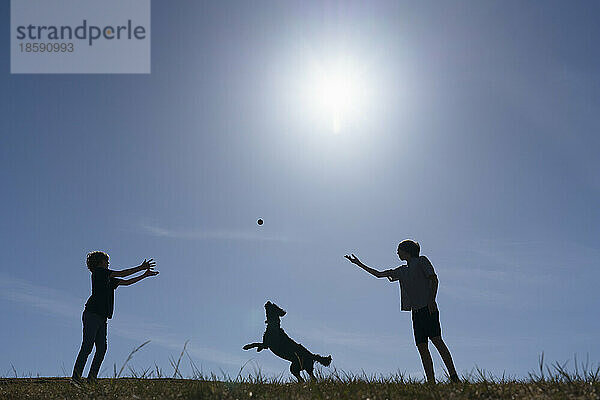 Silhouette von zwei Jungen (12-13) und einem Hund  die auf einer Wiese spielen