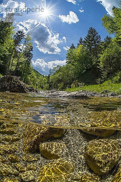 Unterwasseraufnahme in einem Gebirgsbach im Nationalpark Kalkalpen  Reichraming  Oberösterreich  Österreich  Europa