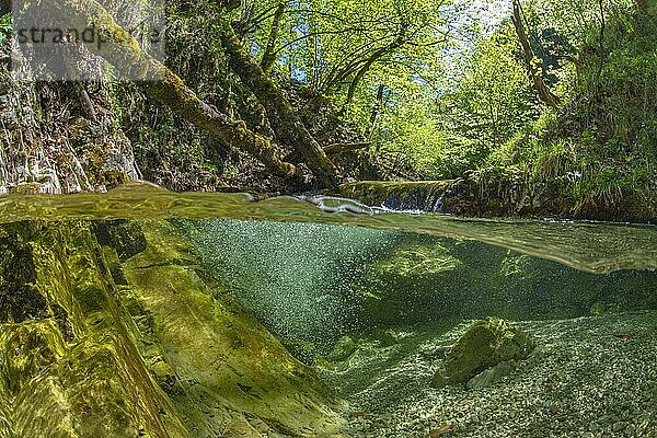 Unterwasseraufnahme in einem Gebirgsbach im Nationalpark Kalkalpen  Reichraming  Oberösterreich  Österreich  Europa