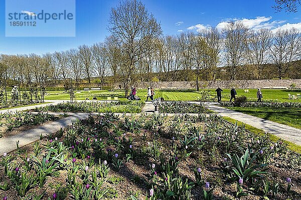 Besucher  Touristen hinter Tulpenbeeten im Remtergarten  Schloss Corvey  sonniges Frühlingswetter  Landesgartenschau 2023  Höxter  Nordrhein-Westfalen  Deutschland  Europa