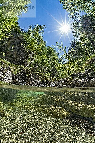 Unterwasseraufnahme in einem Gebirgsbach im Nationalpark Kalkalpen  Reichraming  Oberösterreich  Österreich  Europa