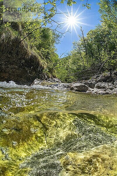 Unterwasseraufnahme in einem Gebirgsbach im Nationalpark Kalkalpen  Reichraming  Oberösterreich  Österreich  Europa