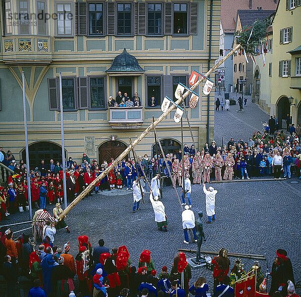 Narrenbaum aufstellen  Württembergische Karnevalsvereine in Bietigheim-Bissingen  Baden-Württemberg  Deutschland  Europa