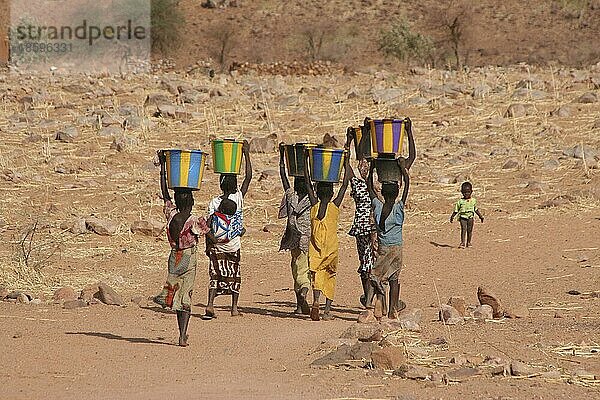 Eine Gruppe Kinder beim Wasserholen nahe Hombori  Mali  Afrika