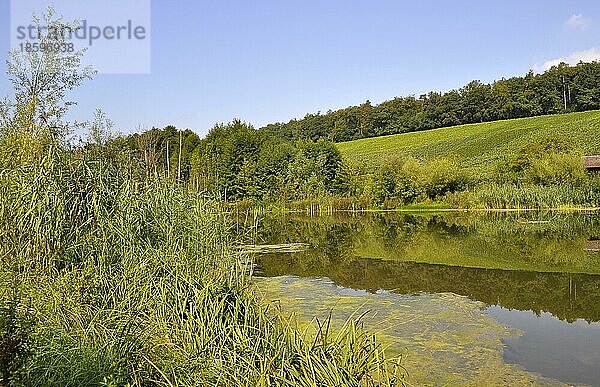 Stausee Ehmetsklinge bei Zaberfeld  Badesee