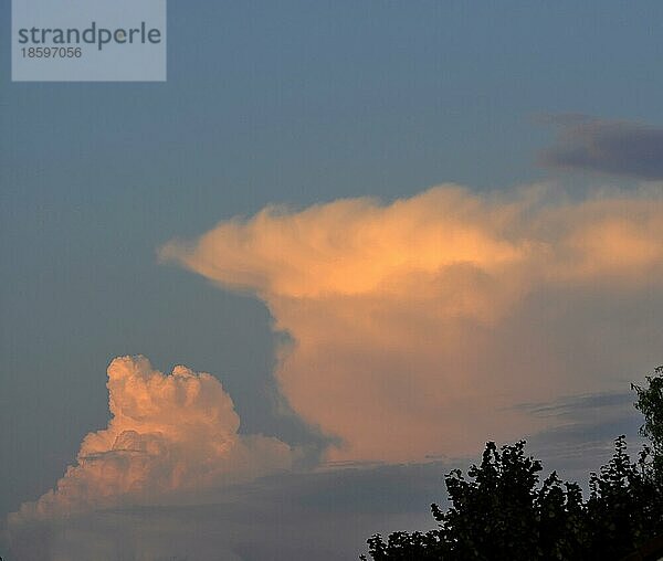 Gewitterwolken am Abend  Quellwolken  Abendrot  Abend  Wolken orangefarbig  Stimmung