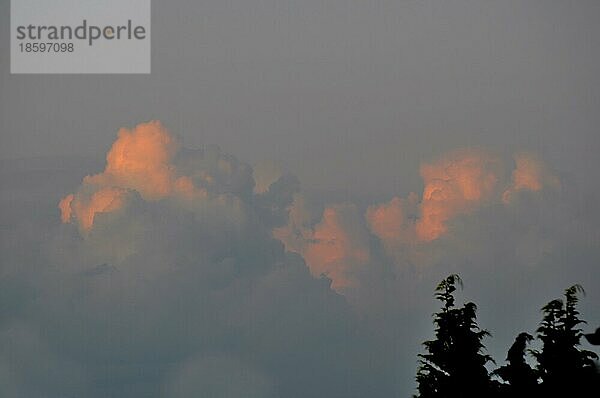 Gewitterwolken am Abend  Quellwolken  Abendrot  Abend  Wolken orangefarbig  Stimmung