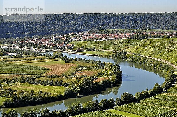 Weinberg-Terassen  Weinberge  Felder  Wiesen  Steillage  Fluss : Neckar  Hessigheim  Neckarschleife  Wein und Obstwanderweg bei Mundelsheim