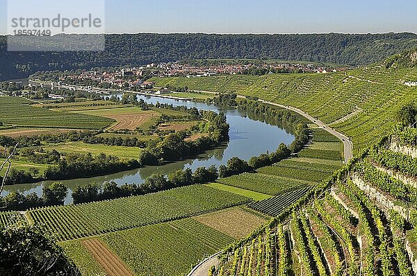 Neckarschleife bei Mundelsheim  Weindorf Hessigheim  Weinberge  Felder  Wiesen  Steillage  Fluss : Neckar  Hessigheim  Wein und Obstwanderweg bei Mundelsheim