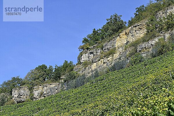 Weinberg-Terassen  Besigheimer Felsengarten  Kletterfelsen