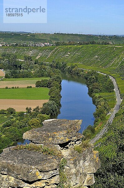 Blick von Besigheimer Felsengarten  Weinberge  Felder  Wiesen  Fluss : Neckar