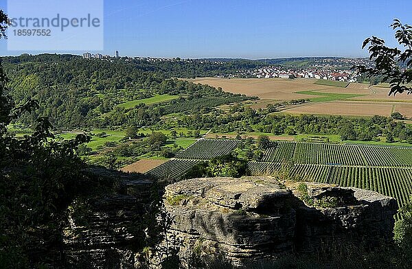 Felsengarten Hessigheim-Besigheim  Weinberge in Steillage  Blick von Besigheimer Felsengarten  Fluss: Neckar