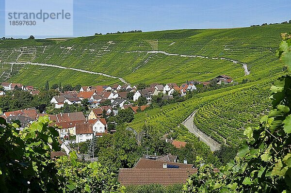 Weindorf Mundelsheim am Neckar  Weinberg-Terassen  Felsengarten  Kletterfelsen