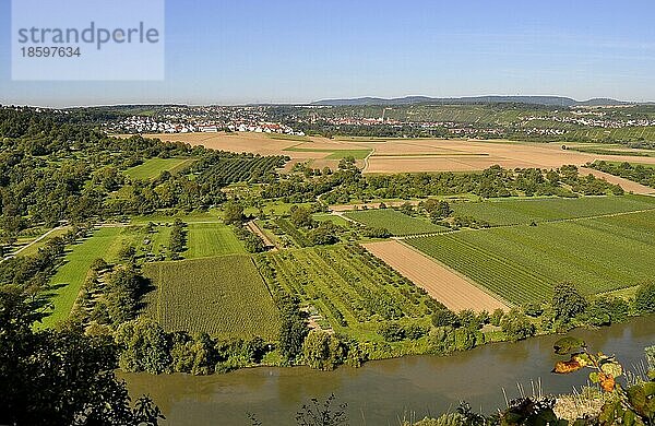 Blick von Besigheimer Felsengarten  Weinberge  Felder  Wiesen  Fluss : Neckar