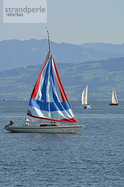 Am Bodensee  Alpensicht  Segelschiff
