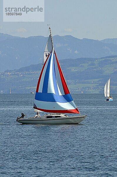 Am Bodensee  Alpensicht  Segelschiff