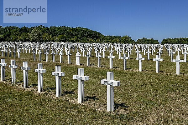 Friedhof der französischen Kriegsgefangenen im Ersten Weltkrieg (1914-1918)  Sarrebourg  Saarburg  Département Moselle  Region Grand Est  Lothringen  Frankreich  Europa