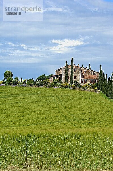 Val d'Orcia  Orcia-Tal  Bauernhof mit Zypressen  Felder und Bauernhäuser  Toskana-Landschaft  UNESCO-Weltkulturerbe  Pienza  Provinz Siena  Toskana  Italien  Europa