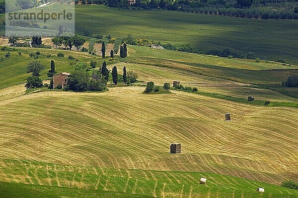 Val d'Orcia  Orcia-Tal  Felder  Pienza  Toskana Landschaft  UNESCO-Weltkulturerbe  Pienza  Provinz Siena  Toskana  Italien  Europa