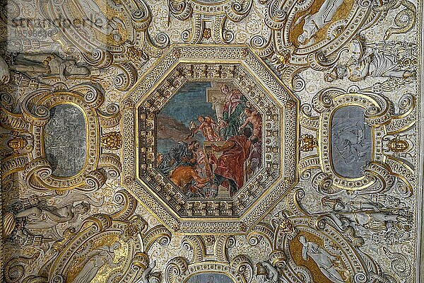 Deckengemälde  Dogenpalast  Stadtteil San Marco  Venedig  Region Venetien  Italien  Europa