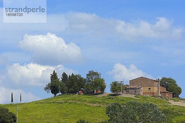 Landschaft der Toskana  bei Asciano  Provinz Siena  Crete Senesi  Toskana  Italien  Europa