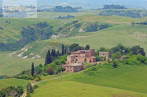 Landschaft der Toskana  bei Asciano  Provinz Siena  Crete Senesi  Toskana  Italien  Europa