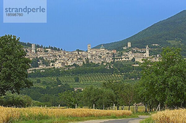 Assisi  UNESCO-Weltkulturerbe  Provinz Perugia  Umbrien  Italien  Europa