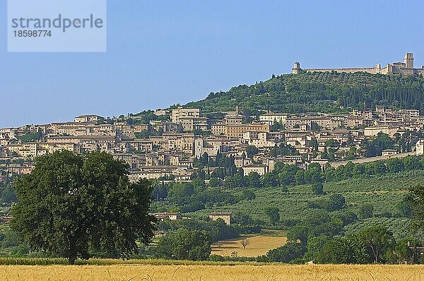 Assisi  UNESCO-Weltkulturerbe  Provinz Perugia  Umbrien  Italien  Europa