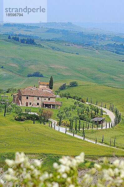 Landschaft der Toskana  bei Asciano  Provinz Siena  Crete Senesi  Toskana  Italien  Europa