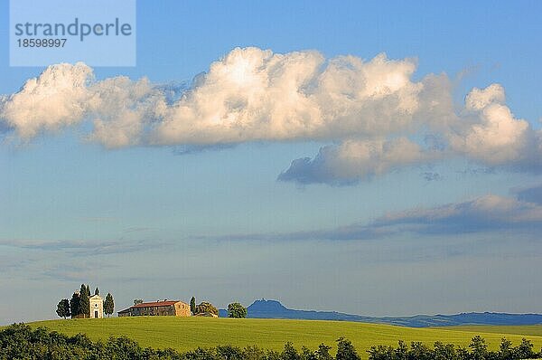 Val d'Orcia  Orcia Tal  UNESCO Weltkulturerbe  Cappella di Vitaleta  Vitaleta Kapelle  Pienza  Provinz Siena  Toskana  Italien  Europa