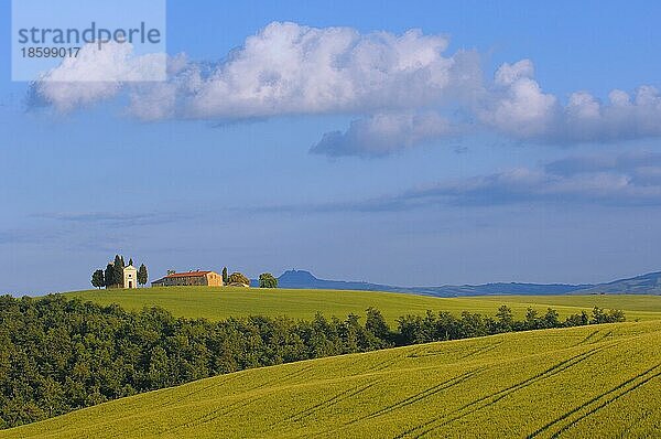 Val d'Orcia  Orcia Tal  UNESCO Weltkulturerbe  Cappella di Vitaleta  Vitaleta Kapelle  Pienza  Provinz Siena  Toskana  Italien  Europa