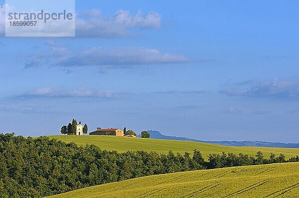 Val d'Orcia  Orcia Tal  UNESCO Weltkulturerbe  Cappella di Vitaleta  Vitaleta Kapelle  Pienza  Provinz Siena  Toskana  Italien  Europa