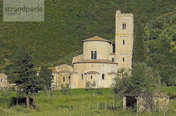 Sant Antimo  Montalcino  Castelnuovo dell'abate  Landschaft der Toskana  Provinz Siena  Toskana  Italien  Europa