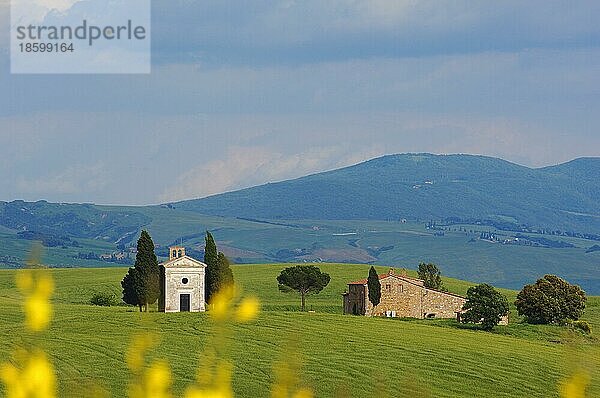 Val d'Orcia  Orcia Tal  UNESCO Weltkulturerbe  Cappella di Vitaleta  Vitaleta Kapelle  Pienza  Provinz Siena  Toskana  Italien  Europa