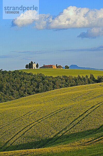 Val d'Orcia  Orcia Tal  UNESCO Weltkulturerbe  Cappella di Vitaleta  Vitaleta Kapelle  Pienza  Provinz Siena  Toskana  Italien  Europa