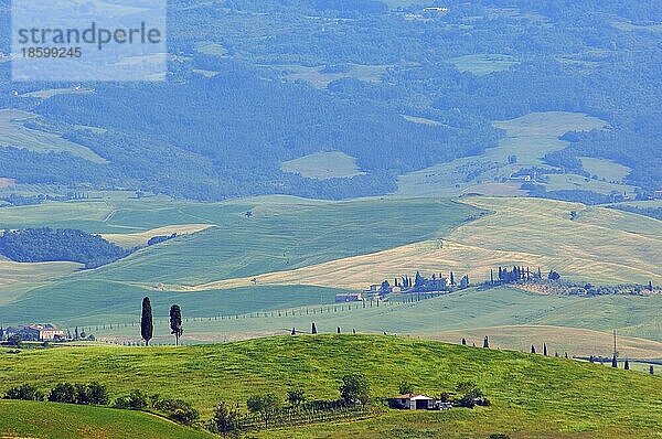 Val d'Orcia  Orcia-Tal  Felder  Toskana-Landschaft  UNESCO-Weltkulturerbe  Pienza  Provinz Siena  Toskana  Italien  Europa