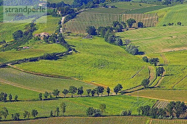 Montalcino  Val d'Orcia  UNESCO-Weltkulturerbe  Toskana-Landschaft  Provinz Siena  Toskana  Italien  Europa