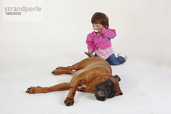 Kleines Mädchen und Deutscher Boxer