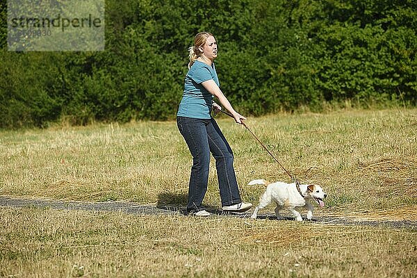 Frau mit Parson-Russell-Terrier  Hund zieht an Leine  Parson-Jack-Russell-Terrier  Hundeleine  Spaziergang  Hundespaziergang  angeleint