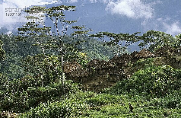 Serkasi  Yali-Dorf  West-Papua  West-Neuguinea  Irian-Jaya  Indonesien  Asien