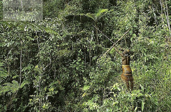 Yali-Jäger mit Pfeil und Bogen  West-Papua  West-Neuguinea  Irian-Jaya  Indonesien  Asien