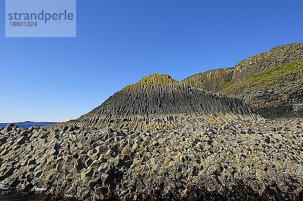 Basaltfelsen  Naturschutzgebiet  Insel Staffa  Innere Hebriden  Argyll und Bute  Mull  Schottland  Isle of Staffa