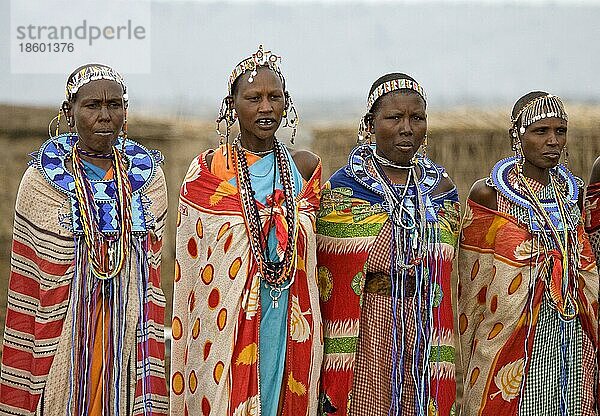 Masai women  Masai Mara Game Reserve  Kenya  Massai-Frauen  Massai Mara Wildschutzgebiet  Kenia  Afrika