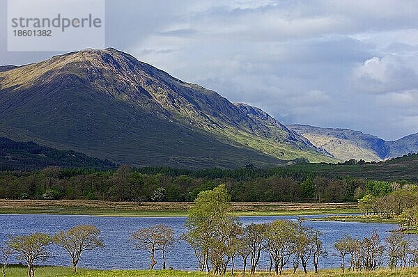 Loch Awe  Argyll und Bute  Highlands  Schottland  Großbritannien  Europa